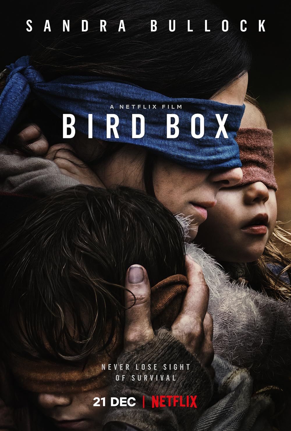 birdboxer